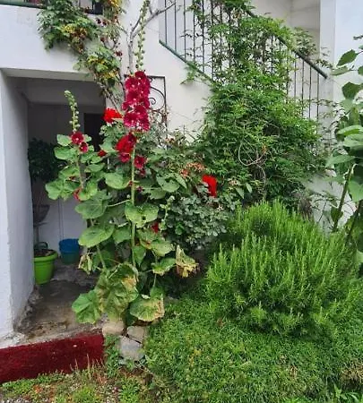 Apartment Da Ersilia