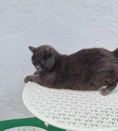 Apartamento Da Ersilia *